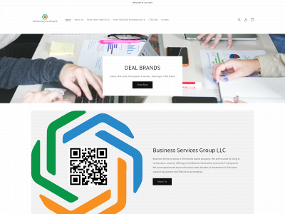 bsvgrp.com snapshot