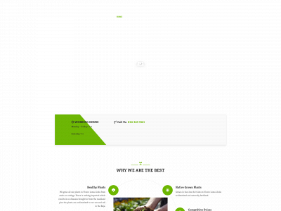 viverolomalinda.com snapshot