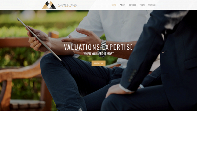 amvaluations.com snapshot
