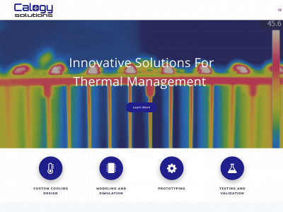calogysolutions.com snapshot