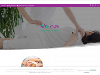 www.fisioterapiaosfit.es snapshot