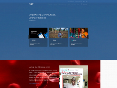 ctiafrica.com snapshot
