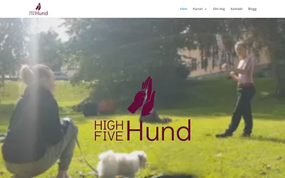 highfivehund.se snapshot