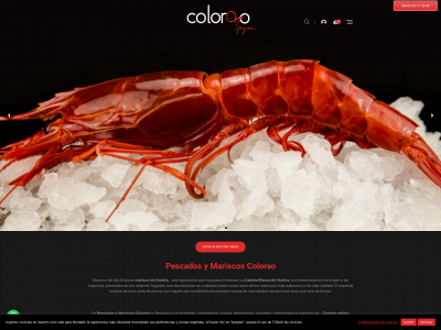 www.pymcolorao.com snapshot