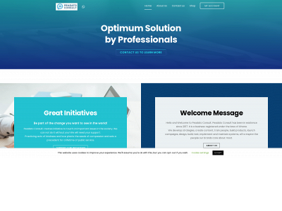peadatoconsult.com snapshot