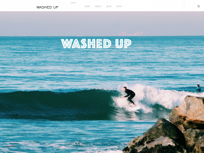 washedupco.com snapshot