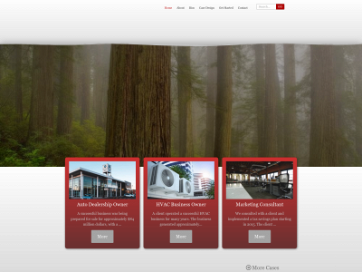 theredwoodtaxspecialists.com snapshot