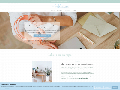 nuriabellver.es snapshot