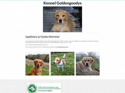 goldengoodys.se snapshot