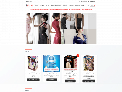 6funtoys.com snapshot