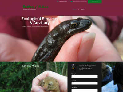 www.ecologywales.com snapshot