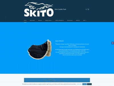 skito.net snapshot
