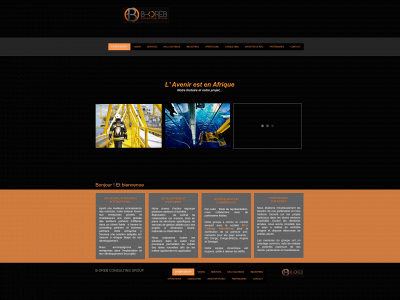 b-oreb-consulting-group.com snapshot