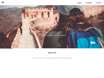 taylordubeworks.com snapshot