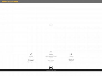 embassymalmo.se snapshot