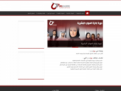 proleadersco.com snapshot
