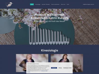 kinesiologie-rutschi.ch snapshot
