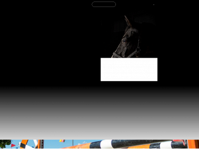 lichtbilder.online snapshot