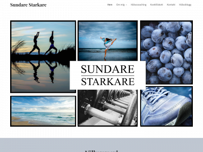 sundarestarkare.se snapshot