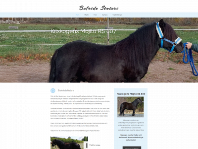 bofride.se snapshot
