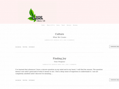 luvunitesus.com snapshot