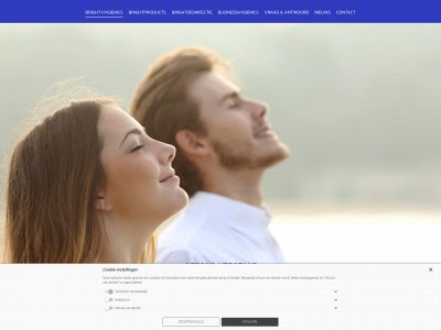 brighthygienics.com snapshot