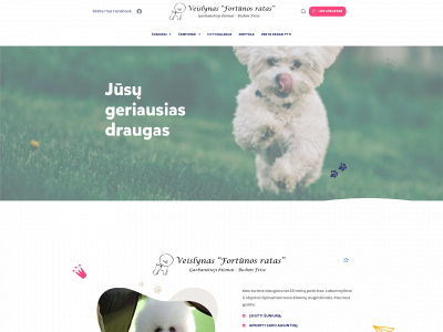 bichonfrise.lt snapshot