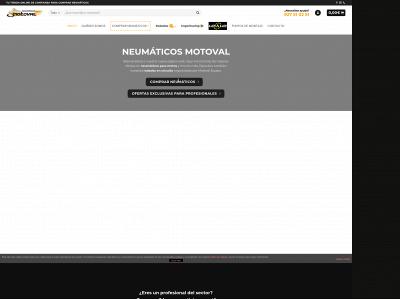 neumaticosmotoval.com snapshot