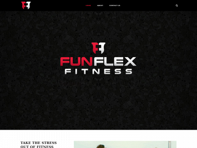 funflex-fitness.com snapshot