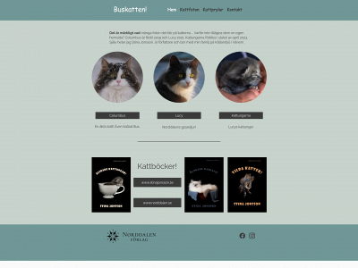 buskatten.se snapshot