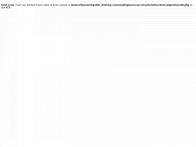 beyondthebra.com snapshot