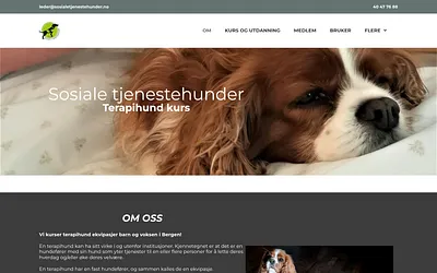 sosialetjenestehunder.no snapshot