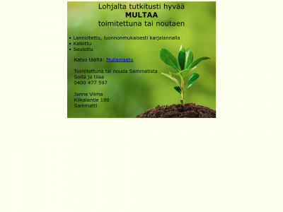 viimanmulta.fi snapshot