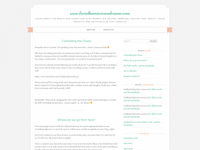 livintheminivandream.com snapshot
