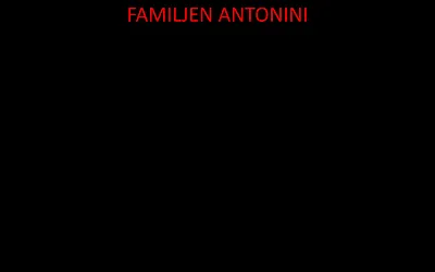 antonini.se snapshot