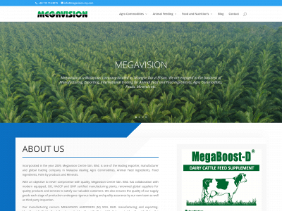 megavision-my.com snapshot