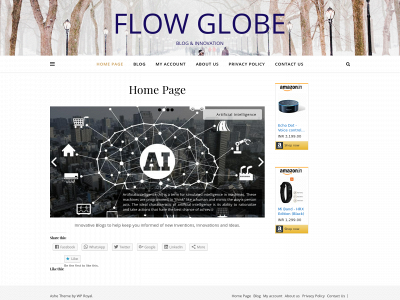 flowglobeonline.com snapshot