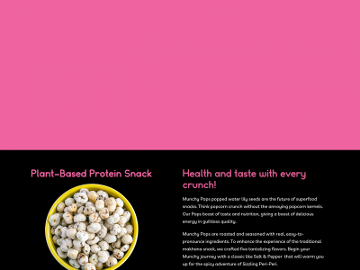 munchypops.com snapshot