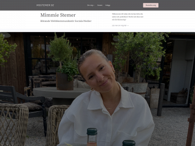 msstemer.se snapshot