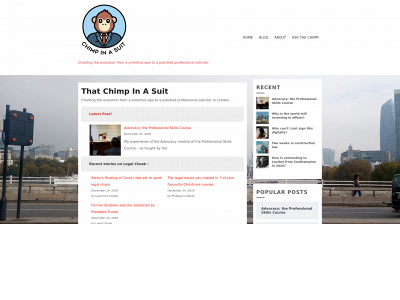 chimpinasuit.com snapshot