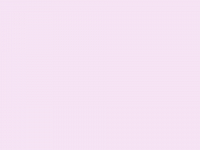lieffies.store snapshot