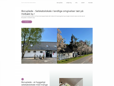 boruplade.dk snapshot