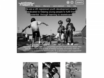 theskateboardingfoundation.org snapshot