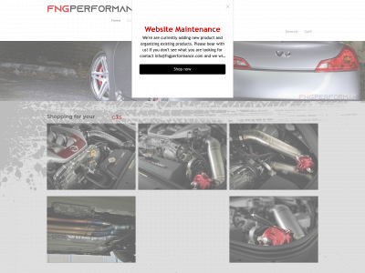 www.fngperformance.com snapshot