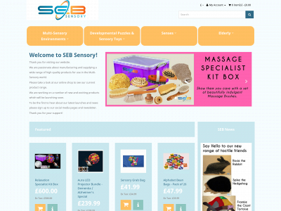 sebsensory.com snapshot