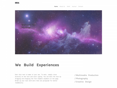 blainevener.weebly.com snapshot