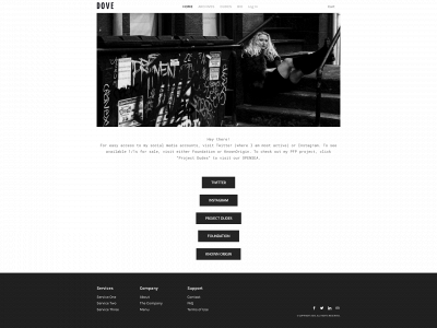 www.danadevereaux.com snapshot