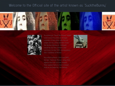thefaceonmars.weebly.com snapshot