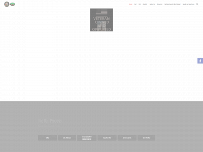 actionanniesbailbonds.com snapshot