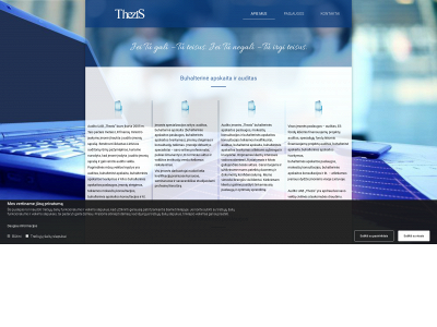 thezis.lt snapshot